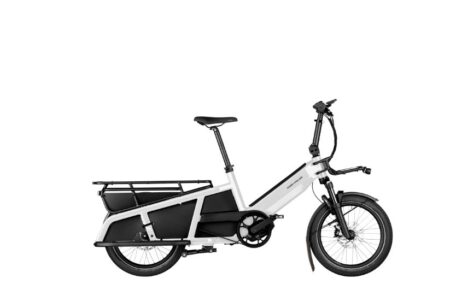 Riese & Müller Multitinker vario 625WH Kiox 300 safety bar, pearl white
