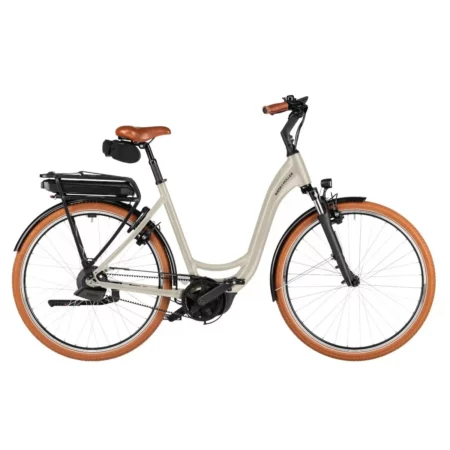 Riese & Müller Swing5 vario almond S
